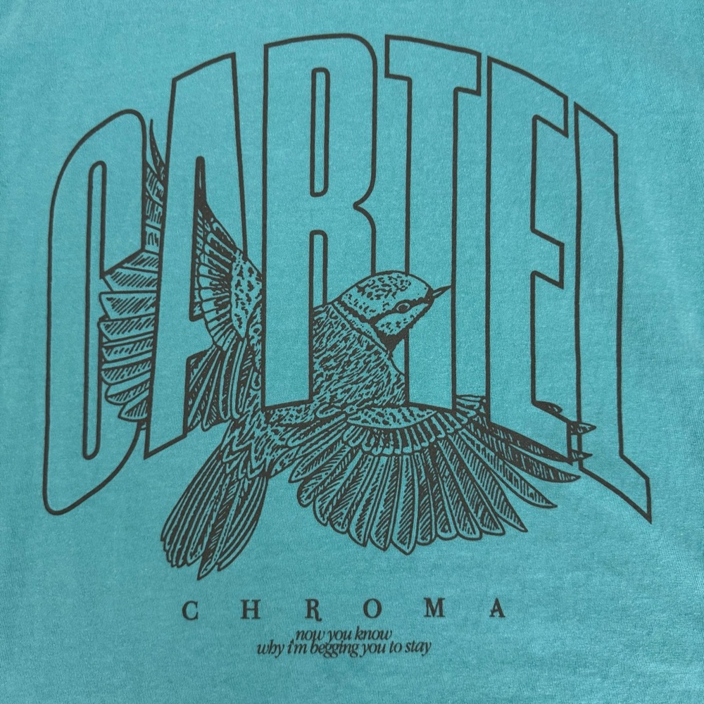 Teal Cartel Chroma Band Merch Graphic Tee - XXL - Picture 3 of 4